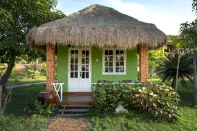 thatched green house in Vietnam