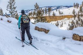 Skier on a snowy hill in countryside