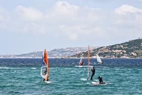Windsurfing summer