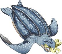 Cute and beautiful, blue turtle with the bags of plastics, at white background, on clipart