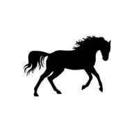 horse gallop stallion drawing