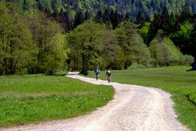 Cycling Sport Mountain