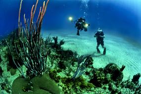 two scuba divers