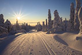 ski trail in the evening sun in Finland