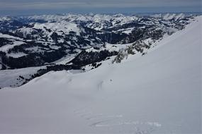 First Line on fresh snow, Backcountry Skiing, scenic landscape