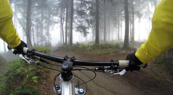 hands on bicycle handlebars in foggy forest