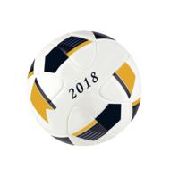 volleyball ball 2018