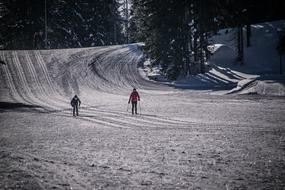 skiers on the snowy track