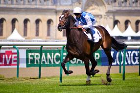 Jockey Contest