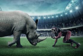 rhino and american football player in stadium