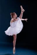 magnificent Dancing Ballerina