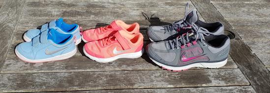 sneakers in different sizes and colors
