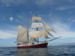 ship under white sails at sea