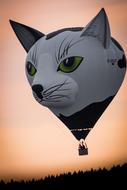 Beautiful and colorful hot air balloon, with the cute cat, above the landscape, at colorful and beautiful sky on background