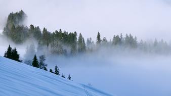 Traces Fog