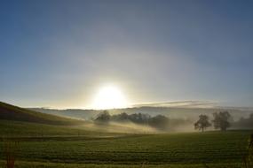 delightful Fog