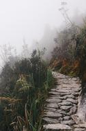 magnificent Trail Path