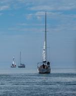 sailing boats in the evening on the lake