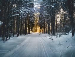 delightful Cross Country Skiing