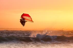 summer Surfer