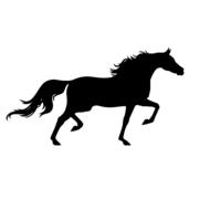 horse gallop stallion equestrian drawing