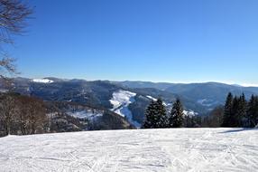 ski run in black forest on a sunny day