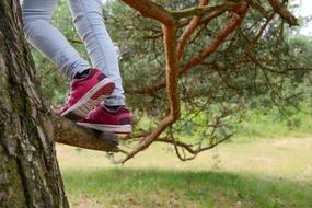 feet on a tree close up