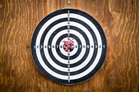 Success Goal Target