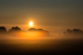 extreme Sunrise Fog