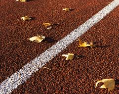 autumn leaves on sports ground