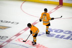 two hockey players on the ice arena