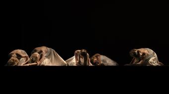 Girls dancing in white dresses on black background