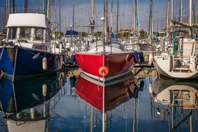 red Boat in Port