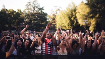 crowd of fans