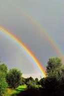 double rainbow over green trees