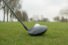 putter with a ball on green grass