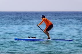 exciting Paddleboarding Sport