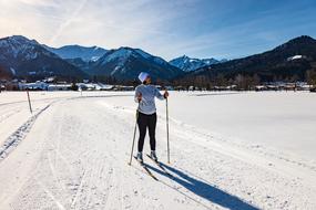 cross-country skiing on a sunny day