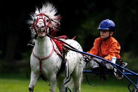 Horse Racing close-up on blurred background