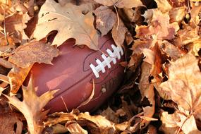 Football Play and leaves