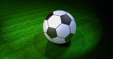 soccer ball on the lawn as an illustration