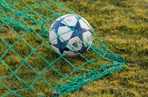 Close-up of the beautiful, blue and white football, in the green grid, on the colorful grass