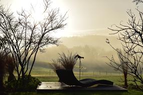 foggy morning landscape