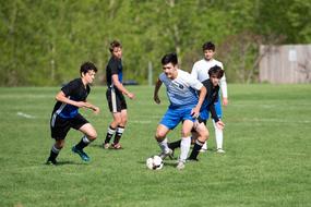 a team of young soccer players playing on the field