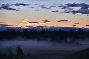 fog over fields and trees in the morning