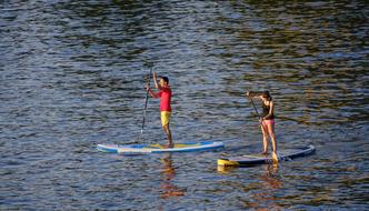 Standup paddleboarding, young man and woman on water