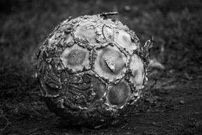Soccer Game fantastic ball