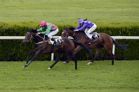 galloping at the racetrack