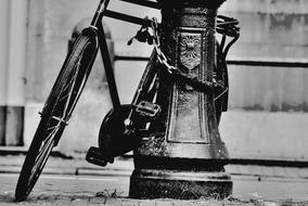Adult bike city