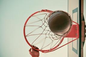 ball in the basketball hoop